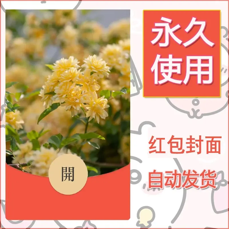 新款永久微信红包封面风景系列壁纸diy素材228
