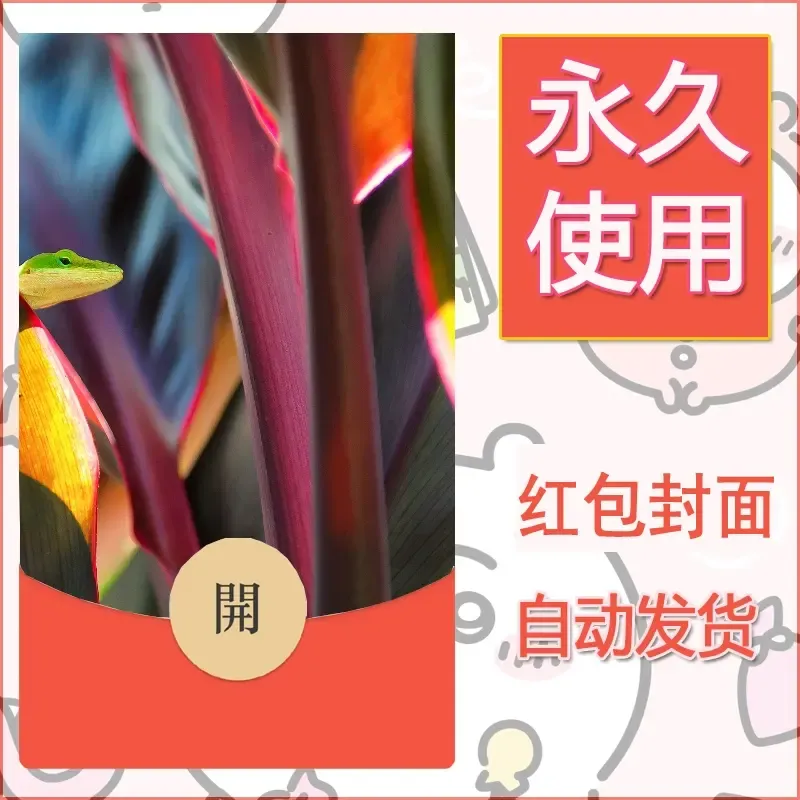 新款永久微信红包封面风景系列壁纸diy素材571 - 会优科技优惠价¥0.42