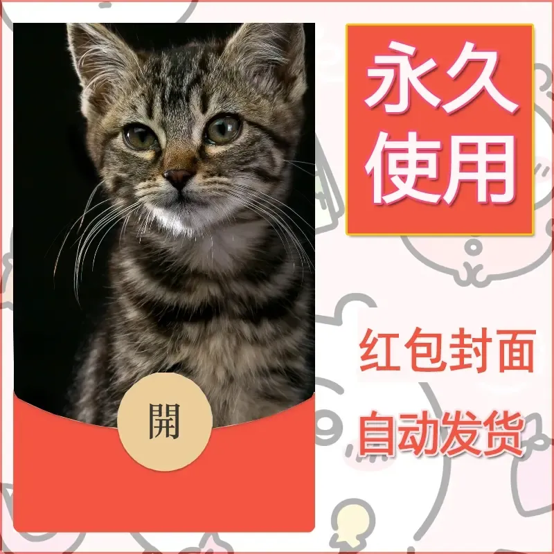 新款永久微信红包封面宠物系列diy素材16 - 会优科技优惠价¥0.42