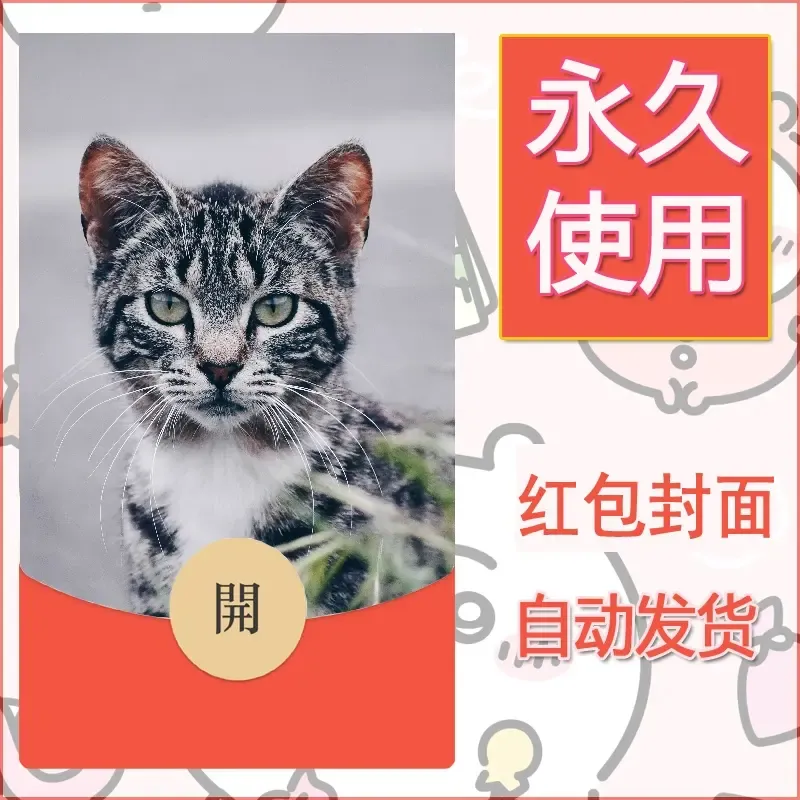 新款永久微信红包封面宠物系列diy素材19 - 会优科技优惠价¥0.42