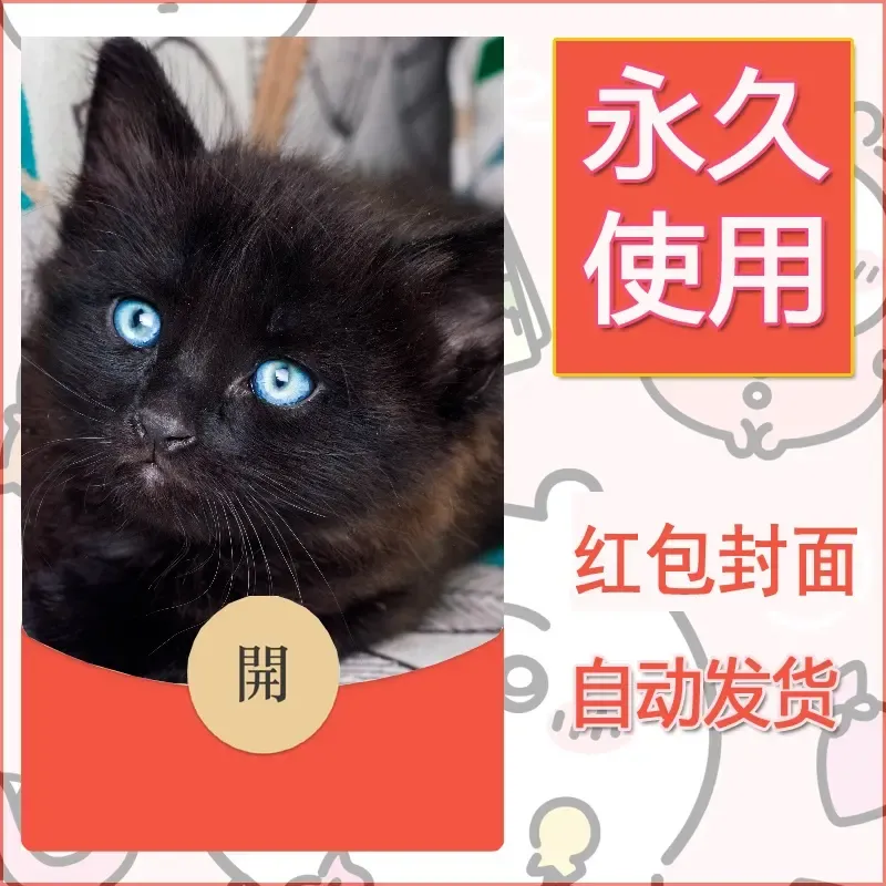 新款永久微信红包封面宠物系列diy素材144