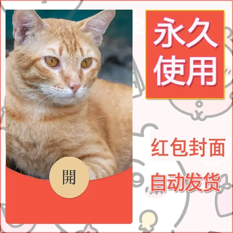 新款永久微信红包封面宠物系列diy素材234 - 会优科技优惠价¥0.42