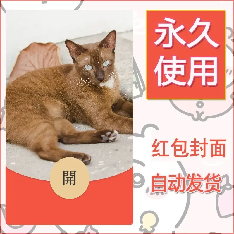 新款永久微信红包封面宠物系列diy素材253