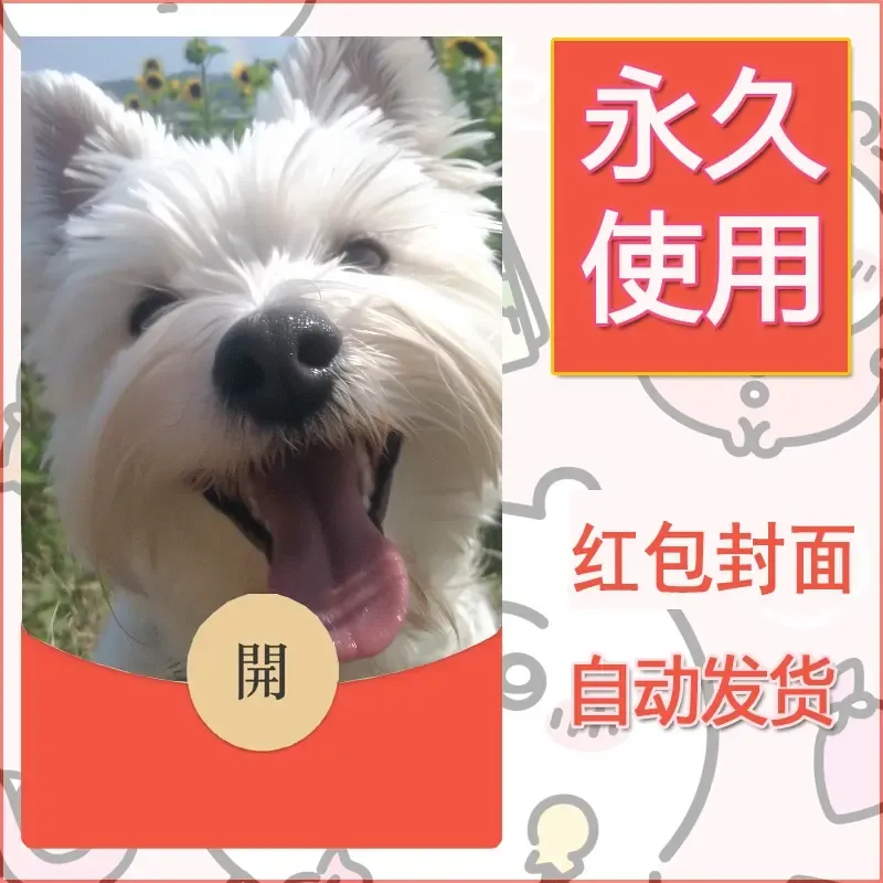 新款永久微信红包封面宠物系列diy素材323 - 会优科技优惠价¥0.42