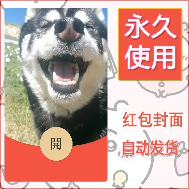 新款永久微信红包封面宠物系列diy素材283