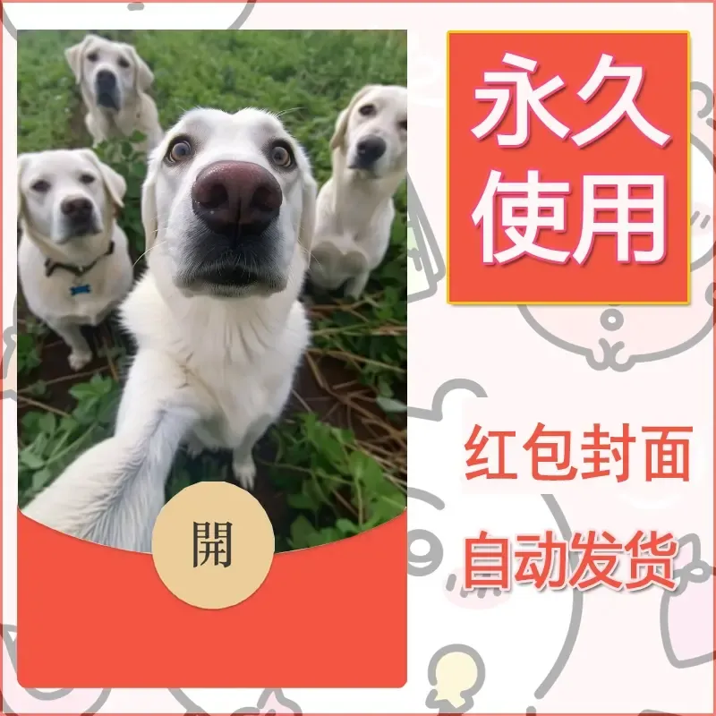 新款永久微信红包封面宠物系列diy素材287 - 会优科技优惠价¥0.42