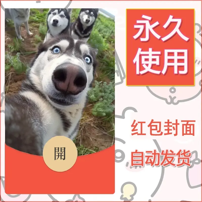 新款永久微信红包封面宠物系列diy素材310 - 会优科技优惠价¥0.42
