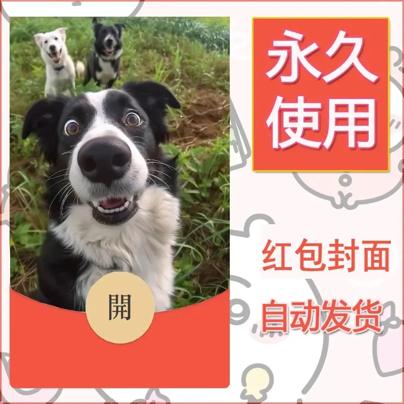 新款永久微信红包封面宠物系列diy素材288 - 会优科技优惠价¥0.42
