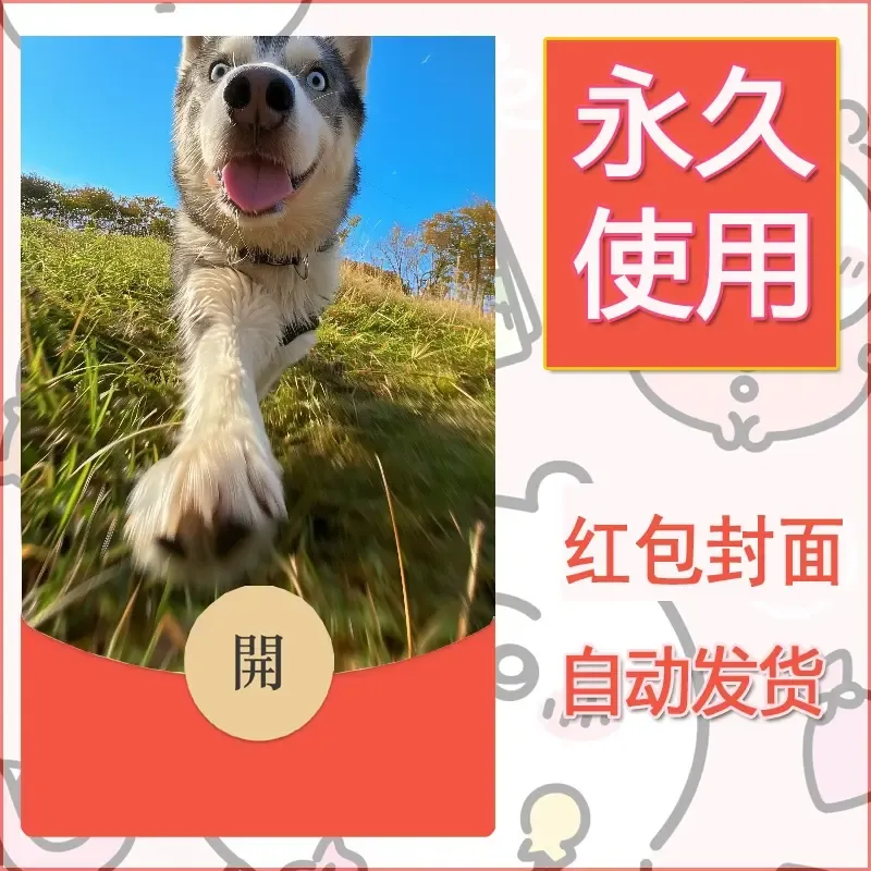 新款永久微信红包封面宠物系列diy素材295 - 会优科技优惠价¥0.42