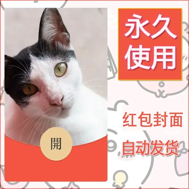 新款永久微信红包封面宠物系列diy素材337 - 会优科技优惠价¥0.42