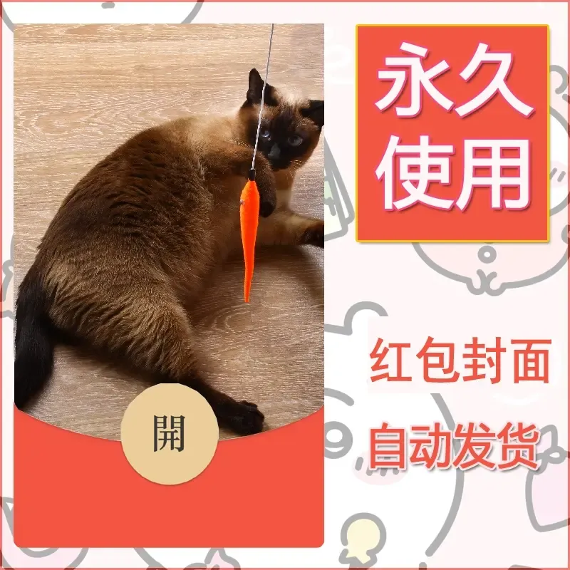 新款永久微信红包封面宠物系列diy素材360 - 会优科技优惠价¥0.42