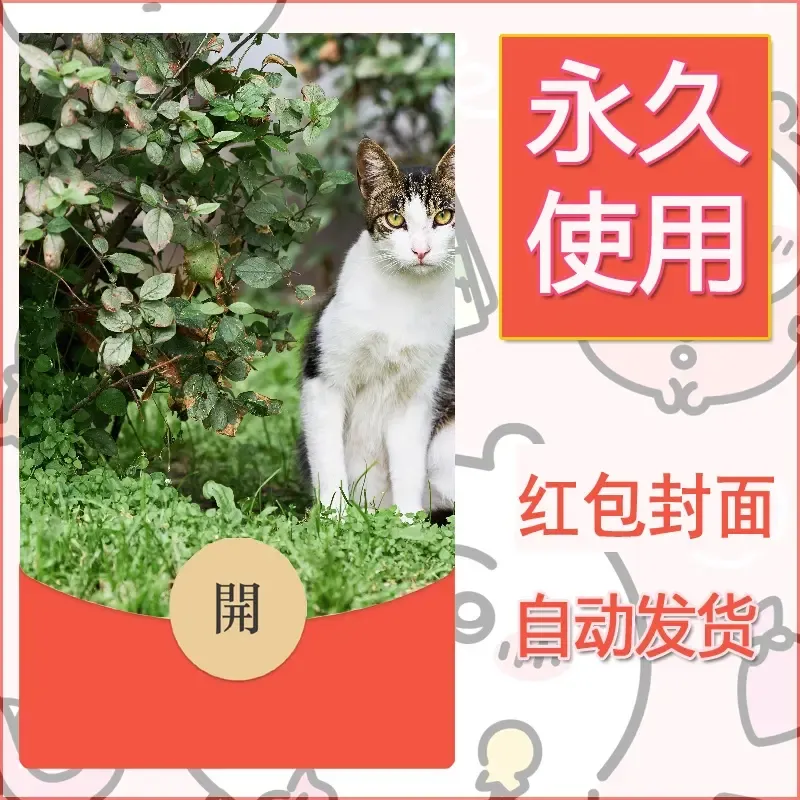 新款永久微信红包封面宠物系列diy素材359
