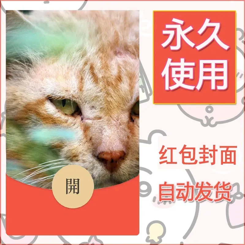 新款永久微信红包封面宠物系列diy素材372 - 会优科技优惠价¥0.42