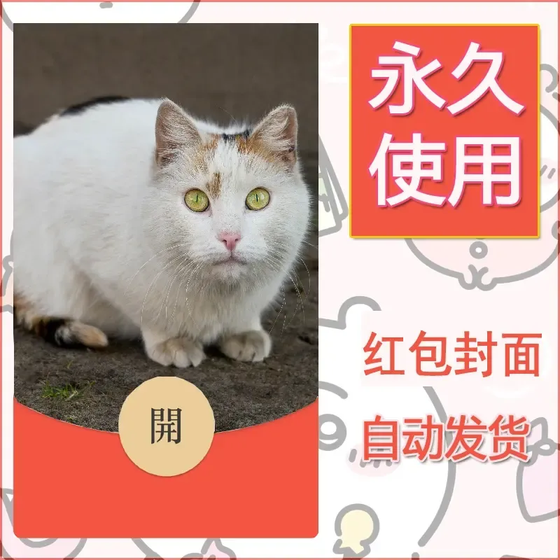 新款永久微信红包封面宠物系列diy素材375