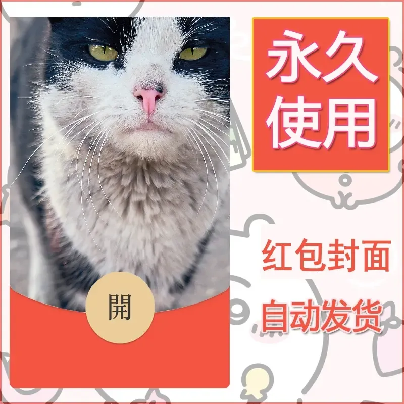 新款永久微信红包封面宠物系列diy素材376 - 会优科技优惠价¥0.42