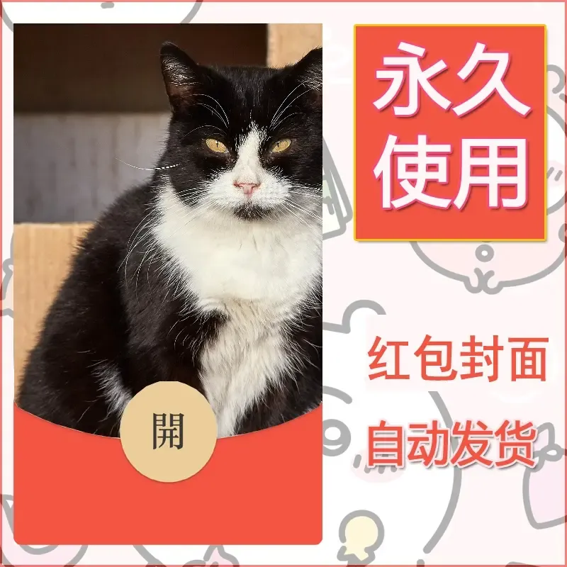 新款永久微信红包封面宠物系列diy素材377