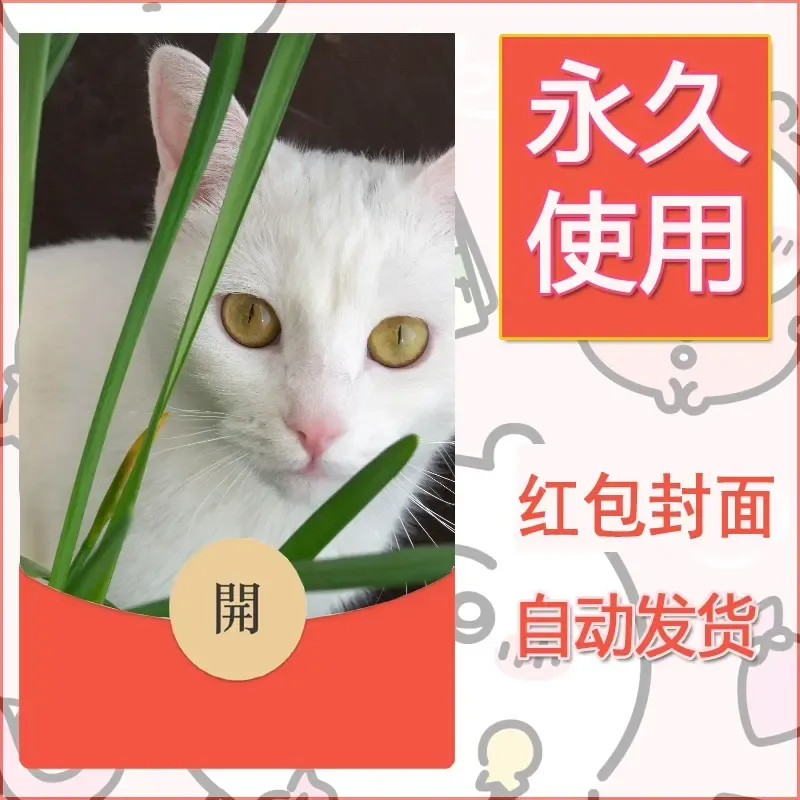 新款永久微信红包封面宠物系列diy素材406 - 会优科技优惠价¥0.42