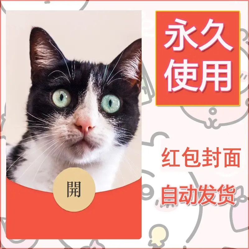 新款永久微信红包封面宠物系列diy素材421