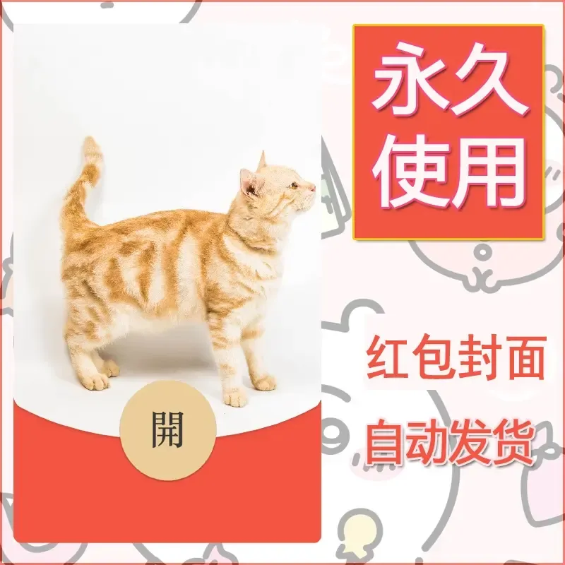 新款永久微信红包封面宠物系列diy素材457 - 会优科技优惠价¥0.42