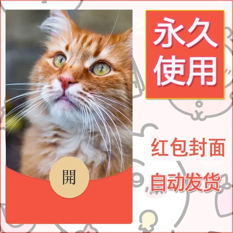 新款永久微信红包封面宠物系列diy素材474 - 会优科技优惠价¥0.42
