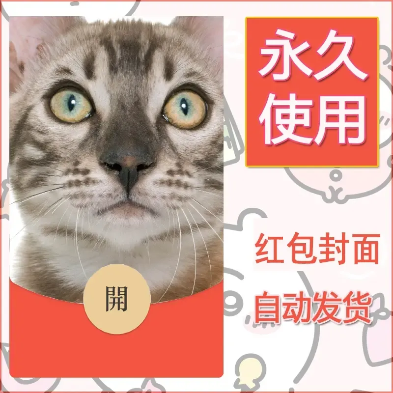 新款永久微信红包封面宠物系列diy素材506 - 会优科技优惠价¥0.42