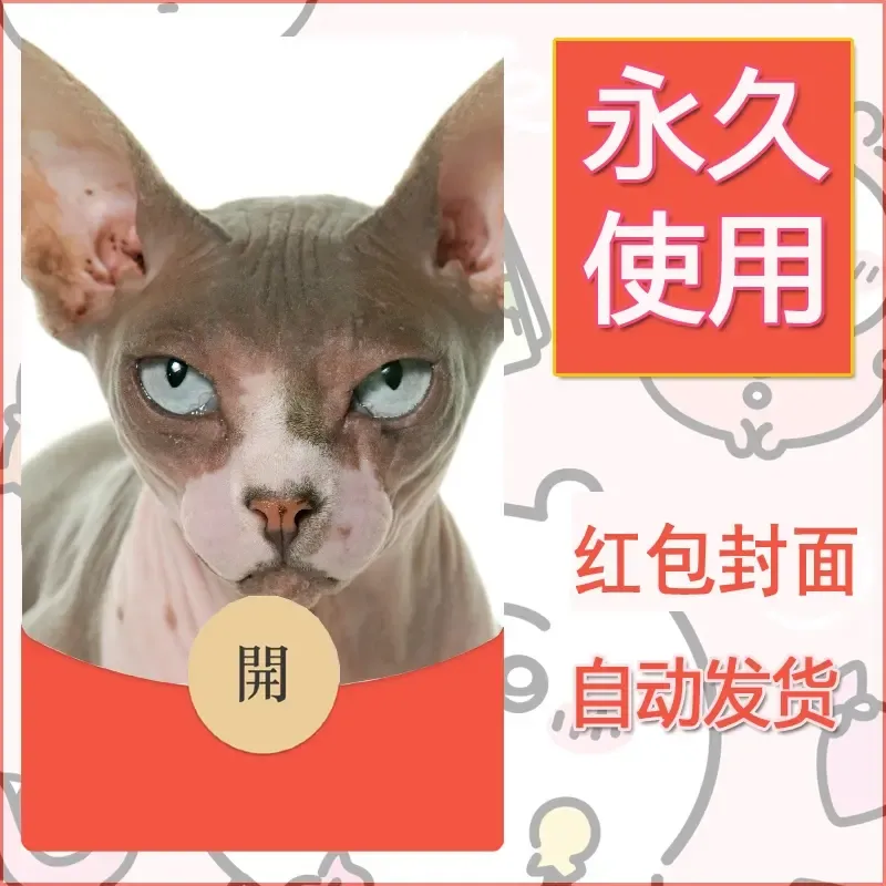 新款永久微信红包封面宠物系列diy素材512 - 会优科技优惠价¥0.42