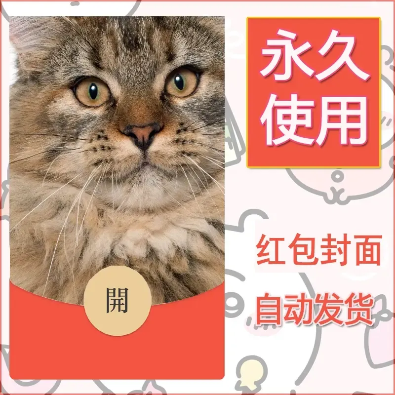 新款永久微信红包封面宠物系列diy素材515 - 会优科技优惠价¥0.42
