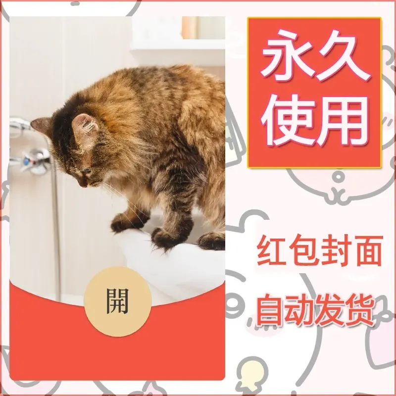 新款永久微信红包封面宠物系列diy素材544 - 会优科技优惠价¥0.42