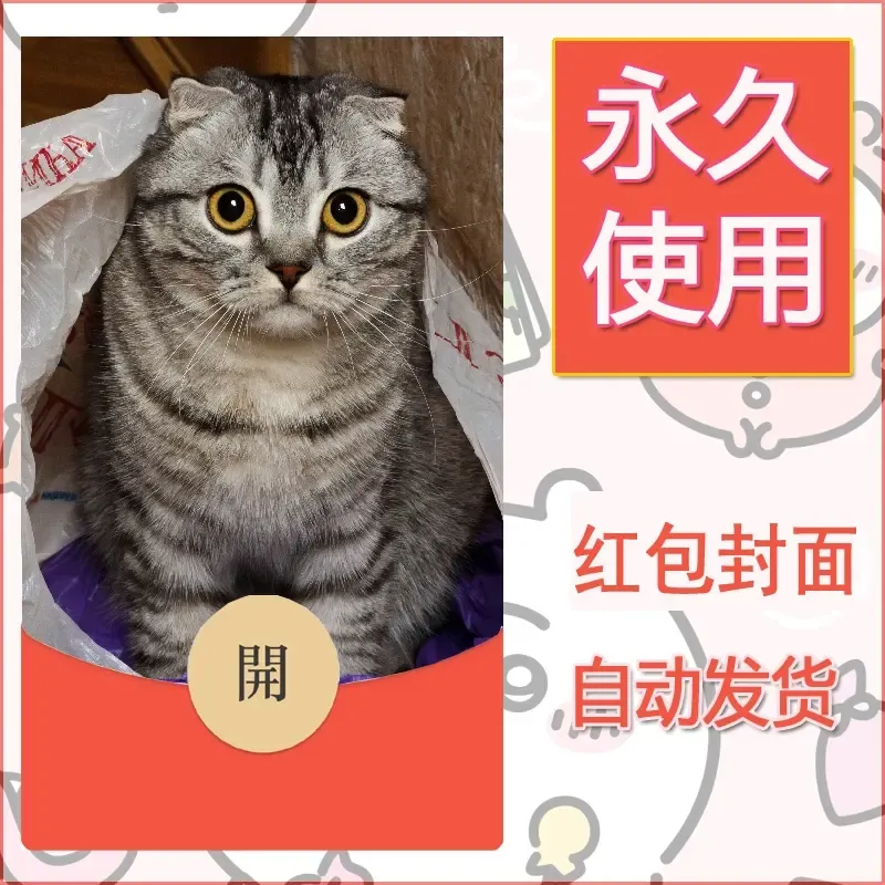 新款永久微信红包封面宠物系列diy素材557 - 会优科技优惠价¥0.42