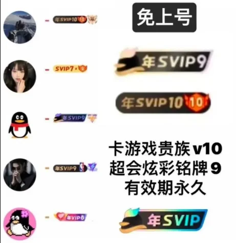 QQ会员系列永久特殊铭牌1积分-可倍拍（先看介绍） - ¥1.48